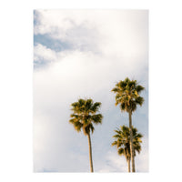 Sunset Palm Trees at California Boulevard (Print Only)
