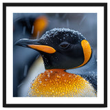 King Penguin Close Up In Snowfall thumbnail