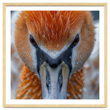 Close Up Of A Pelican's Beak With Water Droplets thumbnail