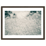 Walking Through Long Grass thumbnail