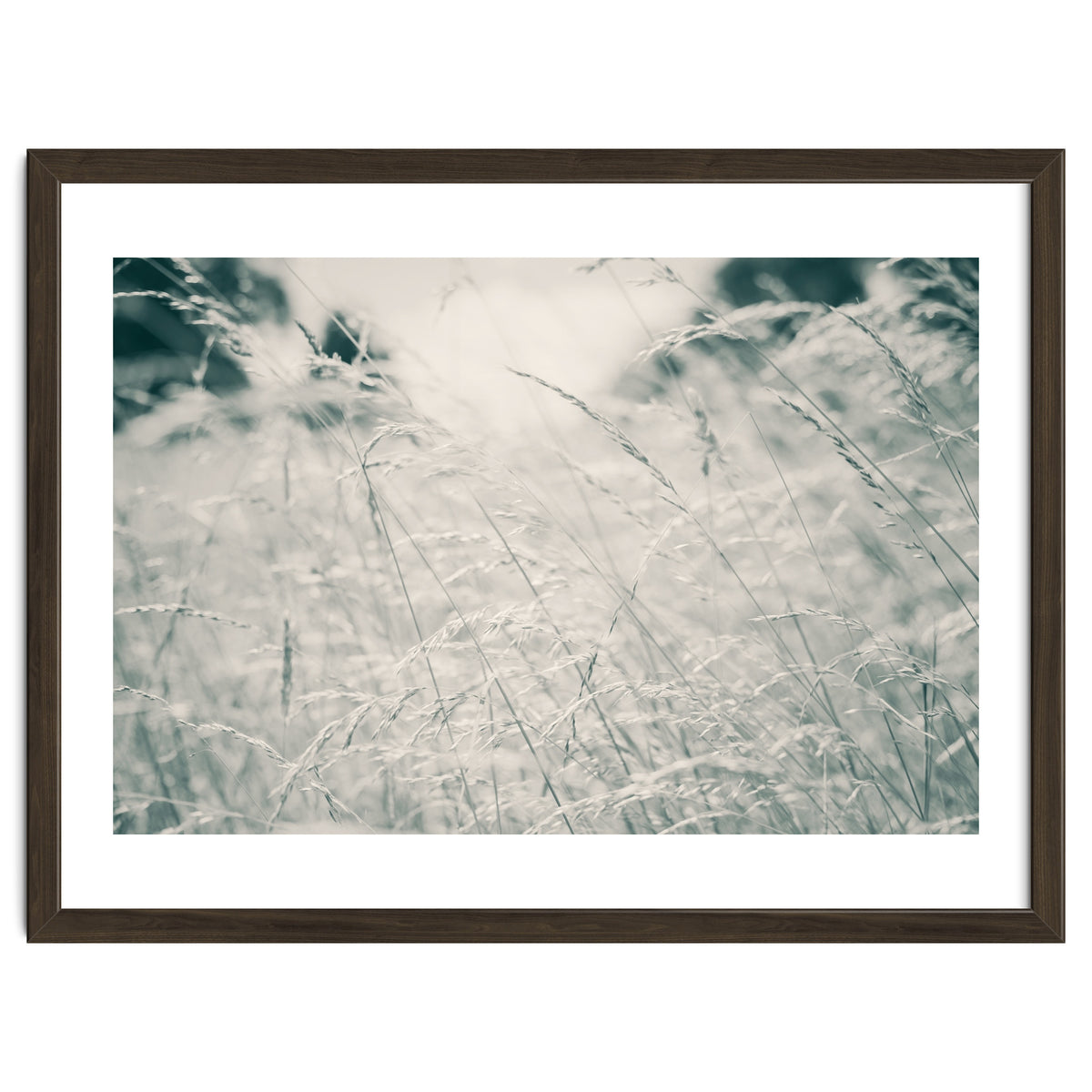 Walking Through Long Grass