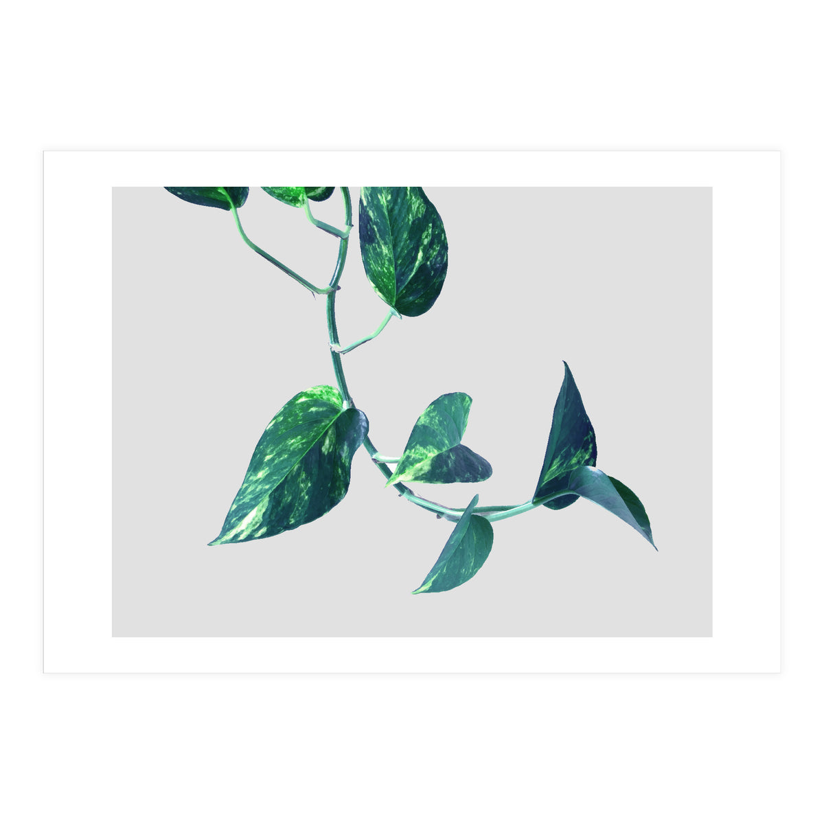 Projection & Emotion (Print Only)