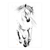 Runninh Ghorse In Water (Print Only) thumbnail