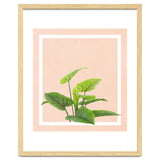 Botanical Art thumbnail