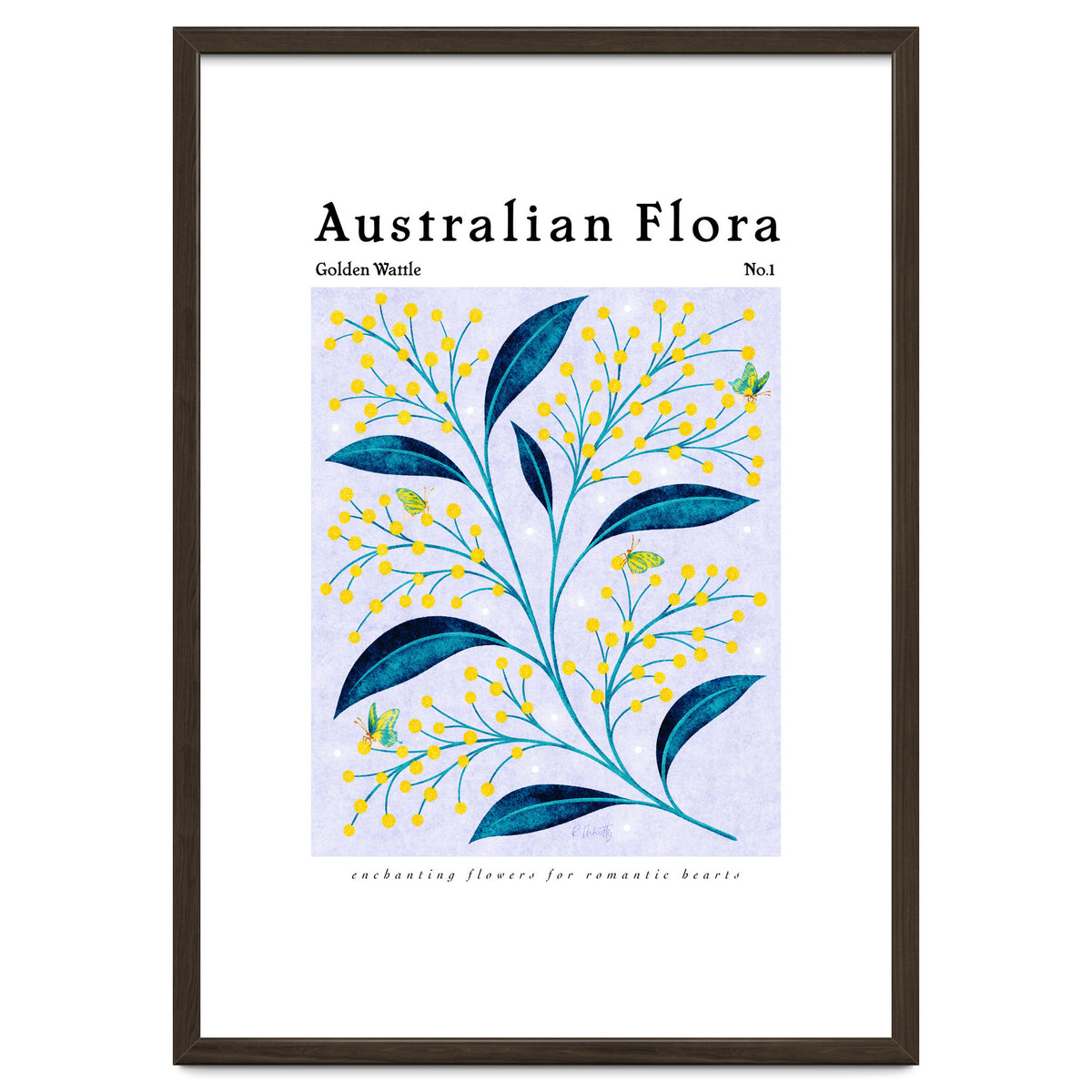 Australian Flora: Golden Wattle