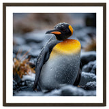 King Penguin In Snow With Water Droplets thumbnail