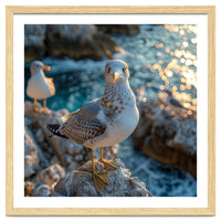 Seagull Standing On Rocks Near Water