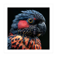Close Up Portrait Of A Colorful Exotic Parrot (Print Only)