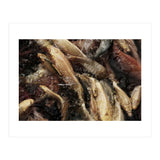 Fish01 (Print Only) thumbnail