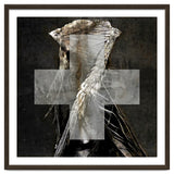 Grey Cross Wraith thumbnail
