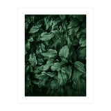New Foliage Green Ii (Print Only) thumbnail
