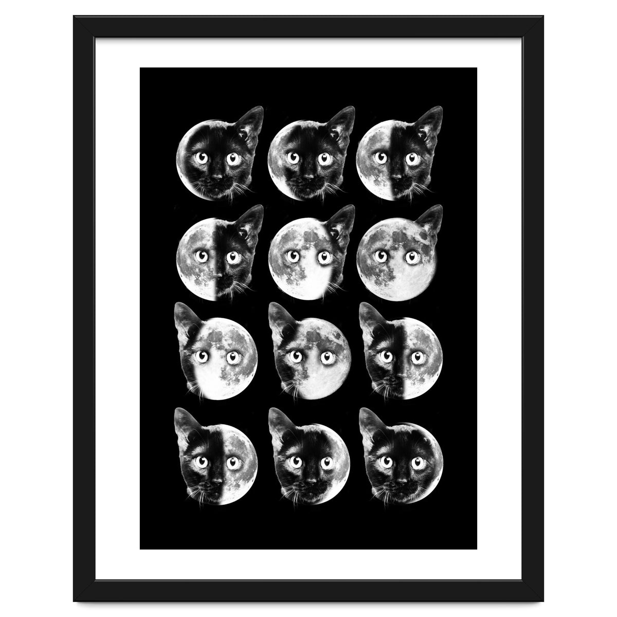Cat Moon Phases