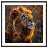 Majestic Lion In A Field Of Sunflowers thumbnail
