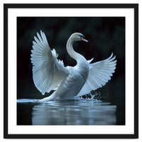 Majestic White Swan Spreading Wings On Water