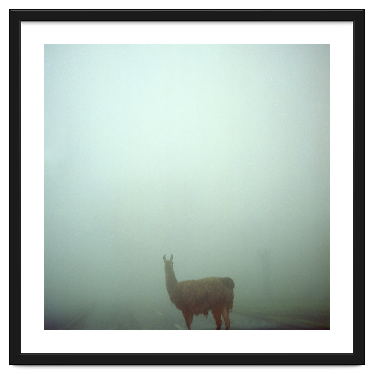 Silence of breath - 04