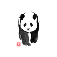 Panda Walking 03 (Print Only)