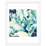 Banana Leaf Crush thumbnail