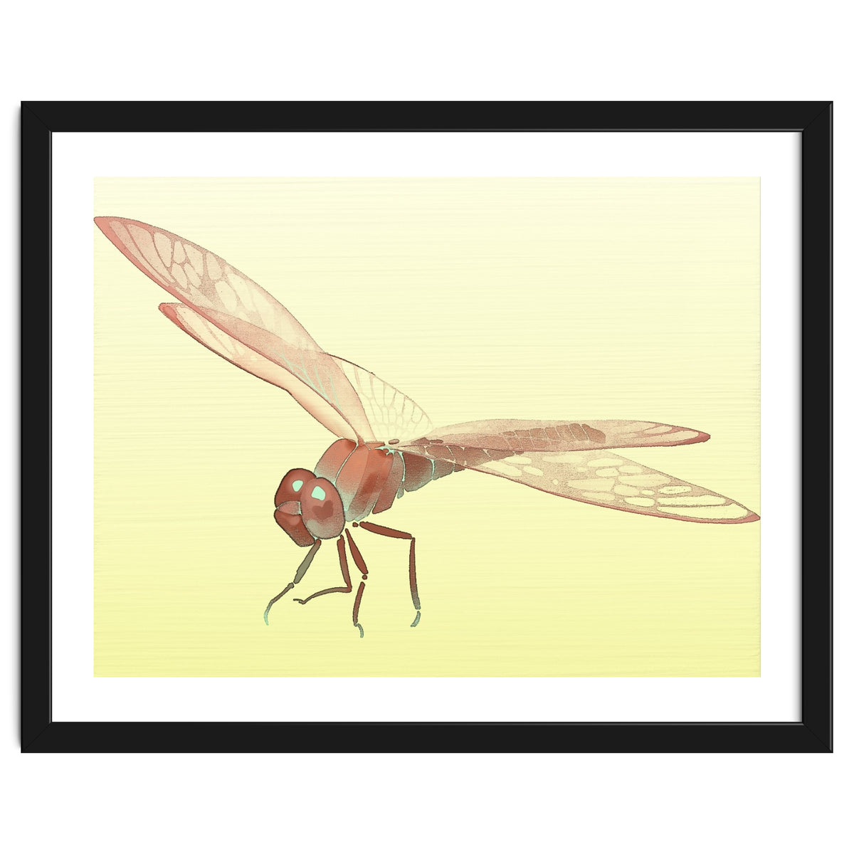 Wings of Transformation