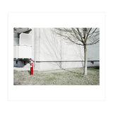 Red light pole and Tree shadow on the wall (Print Only) thumbnail
