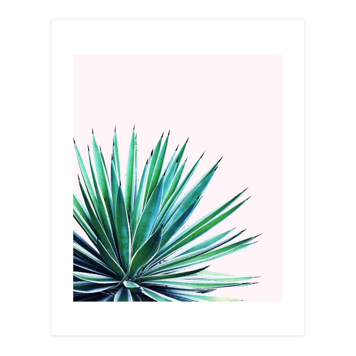 Agave Love #society6 #decor #buyart (Print Only)