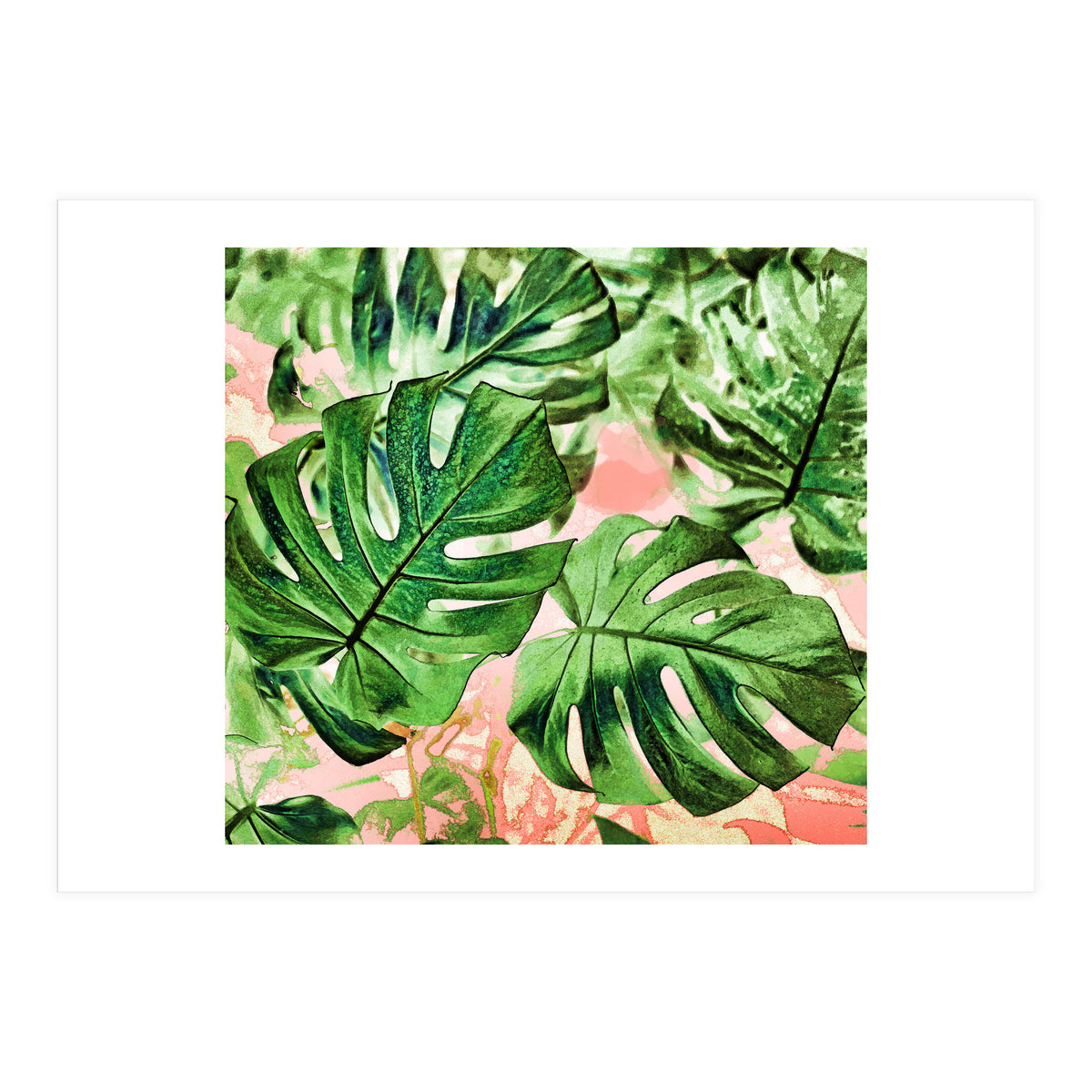 Monstera Beauty #society6 #decor #buyart (Print Only)