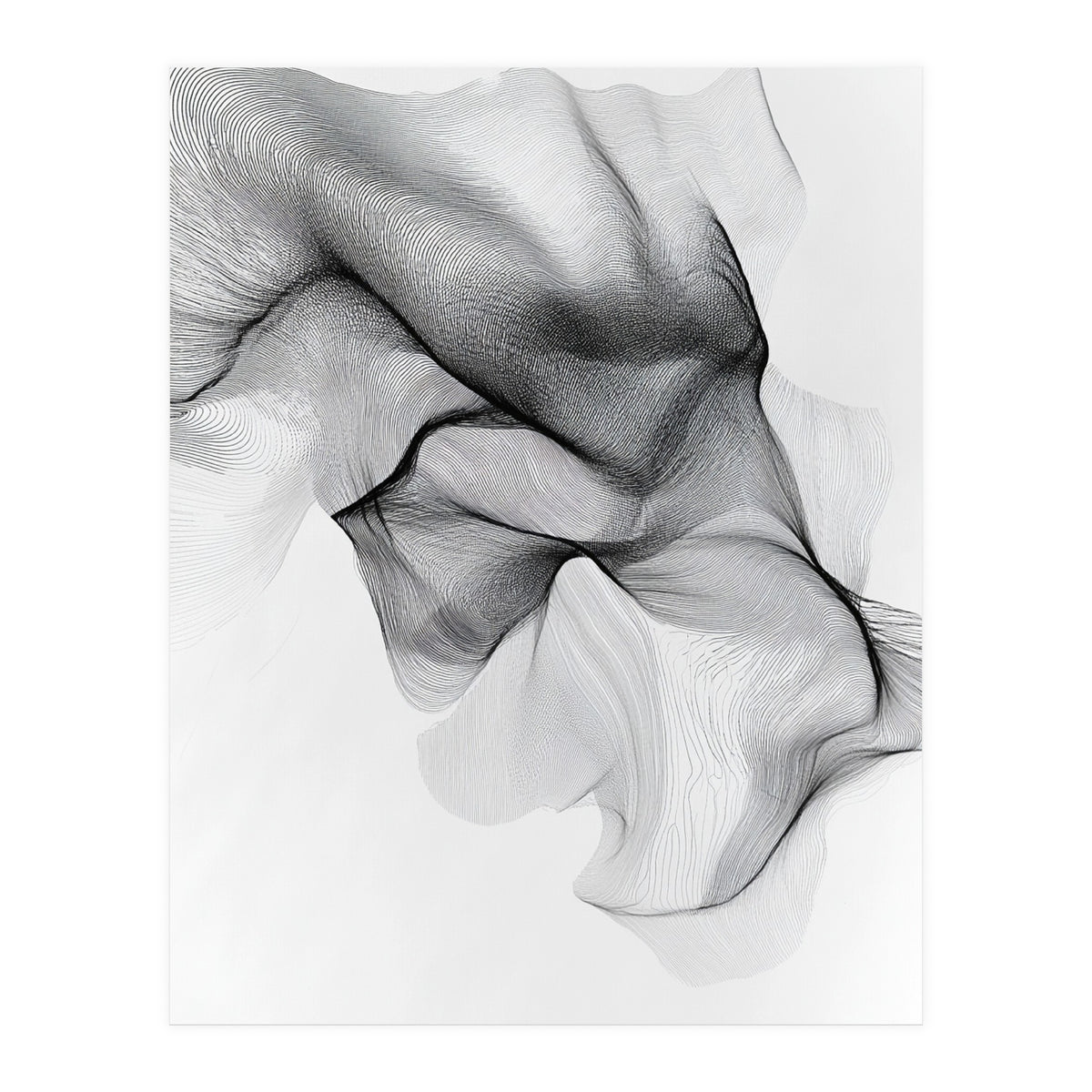 Abstract Black And White Flowing Lines Forming Organic Shapes And Forms (Print Only)