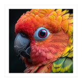 Close Up Sun Conure Parrot Eye Feathers  (Print Only) thumbnail