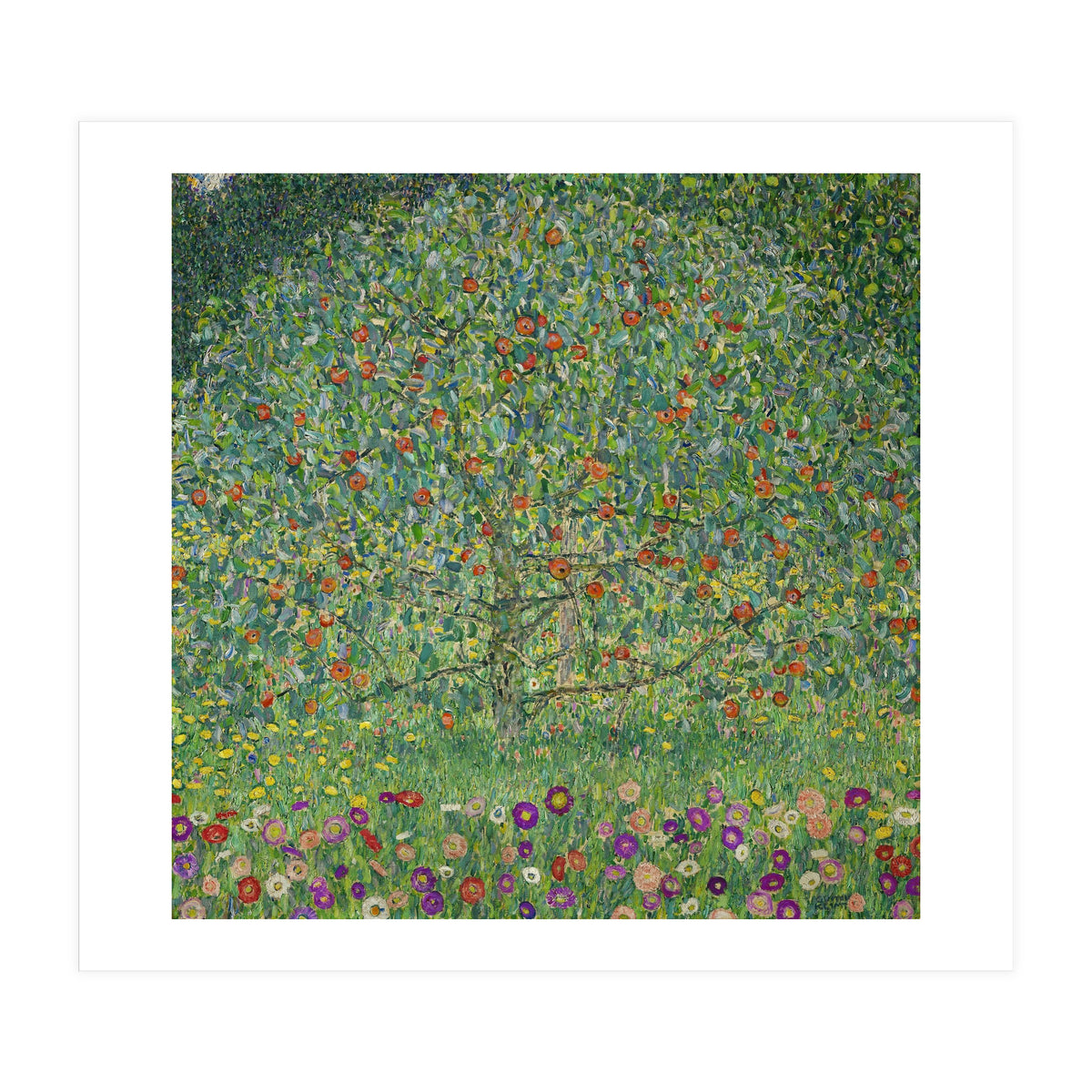 Apple Tree I, 1911 or 1912. Estates of Ferdinand and Adele Bloch-Bauer. (Print Only)
