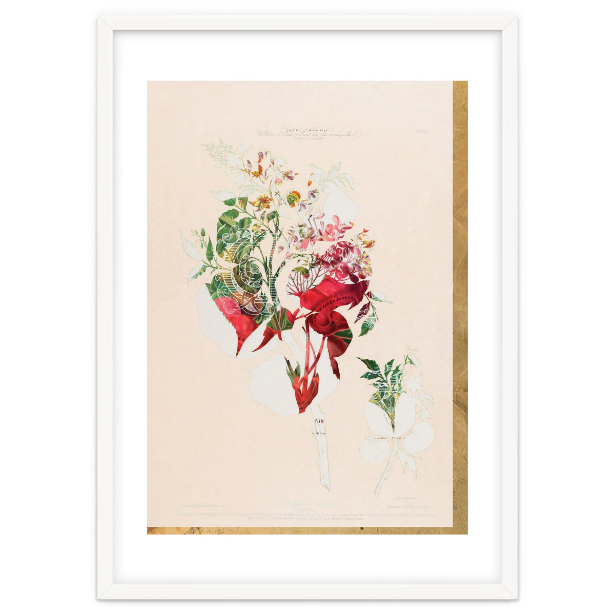 The First Plant · Aufbluehen