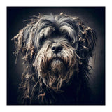Old Dog 03 (Print Only) thumbnail
