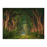 Soft morning light (Print Only) thumbnail