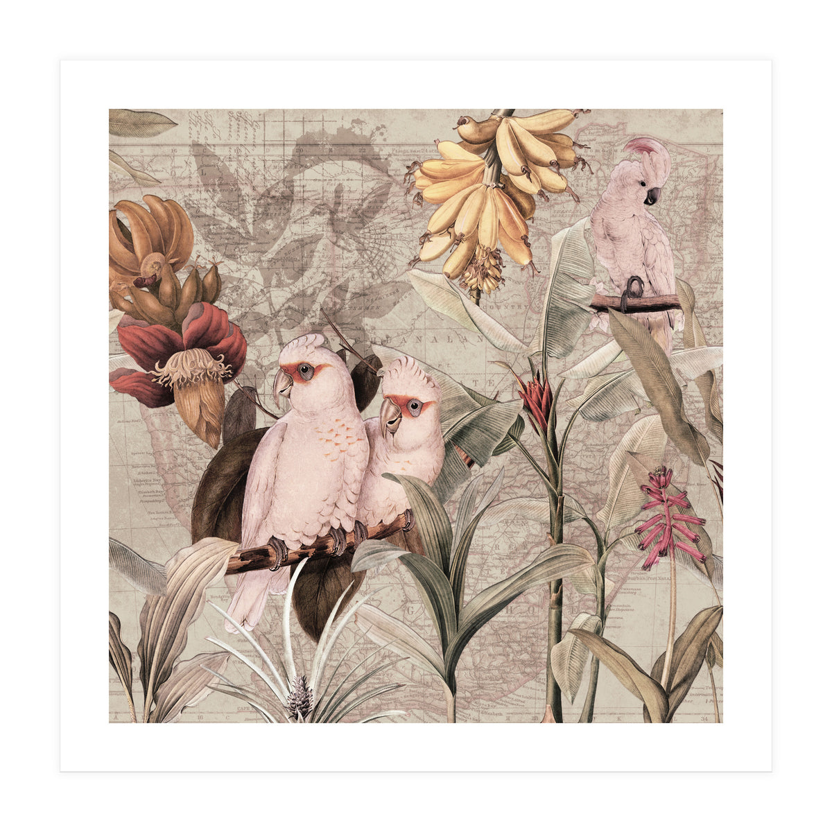 Cockatoo Exotic Bird Jungle  (Print Only)