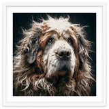 Old Dog 01 thumbnail