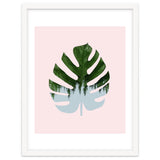 Monstera thumbnail