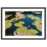 Lotus Pond | Landscape thumbnail