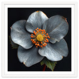 Hellebore | Silver Magic thumbnail