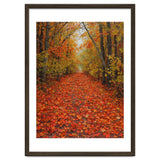 Lush Autumn Forest Path Covered thumbnail