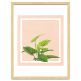 Botanical Art thumbnail