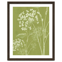 Wildflowers III