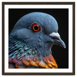 Close Up Of A Pigeon Bird thumbnail