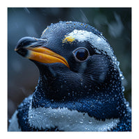 Macro view of a Penguin with Water Droplets (Print Only)