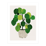 Pilea Plant (Print Only) thumbnail