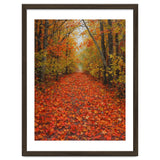 Lush Autumn Forest Path Covered thumbnail