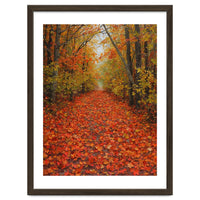 Lush Autumn Forest Path Covered