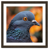 Close Up Of A Pigeon's Head And Neck thumbnail