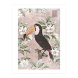 Exotic Bird Toucan (Print Only) thumbnail