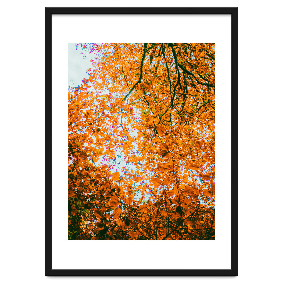Autumn Leaves