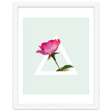 Rose thumbnail