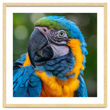 Close Up Blue And Yellow Macaw Parrot Face thumbnail
