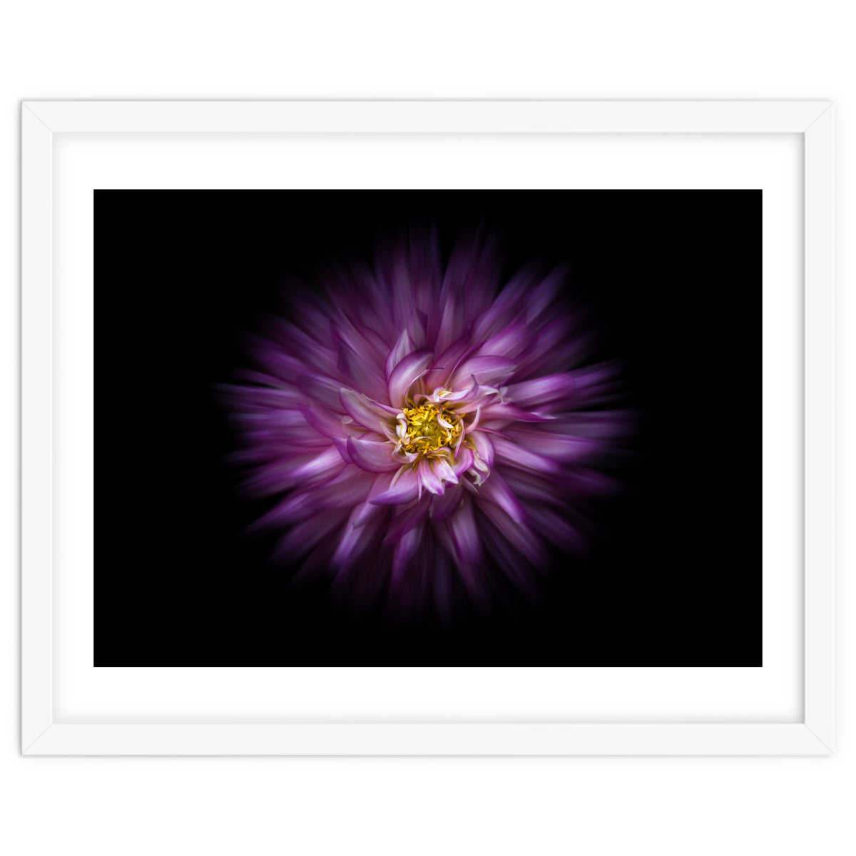 Backyard Flowers No 20 Color Flow Version